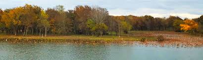 More camping area and on 35 rv spaces spread across lake tawakoni's beautiful shoreline. Lake Tawakoni Camping Resorts Rv Parks Cabins Homes Marinas Fishing More