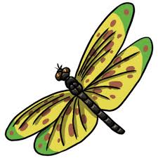 We did not find results for: Free Dragonfly Clip Art Drawings Andlorful Images 5 Cliparting Com
