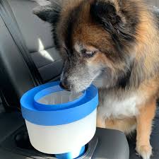 These drinking stations and mats are designed to prevent the splashed or spilled. No Spill Dog Water Bowl Mo Bowl By Lynktec