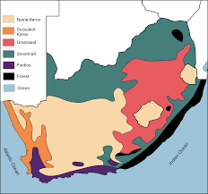 Further north and south, arid climate creates desert. Vegetation Regions Of South Africa By Openstax Jobilize
