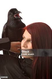 Woman With Raven Stock Photo