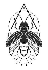 Lightening Bug Firefly Tattoo Firefly Tattoo Bug Tattoo Bugs Drawing