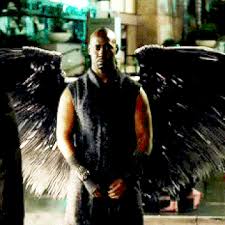 Maybe you would like to learn more about one of these? Angel Wings Lucifer Wiki Fandom