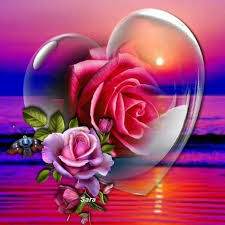 Pin By Mohamed Haseef On I Love Heart Beautiful Rose Flowers Heart Wallpaper Good Morning Roses