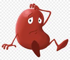 Kidney Sitting 3 Ethical Dilemmas Of Kidney Transplant Free Transparent Png Clipart Images Download Introduction kidney transplant or renal transplant is the organ transplant of a kidney into a patient with end stage renal disease (esrd). ethical dilemmas of kidney transplant