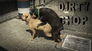 Gta Da Bir Kopekle Nasil Yuruyebilirsiniz 5 Dogramak Icin Harika Bir Rehber