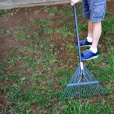 Mow low before overseeding your thin lawn, cut your grass shorter than normal and bag the clippings. How To Overseed A Lawn Greenview