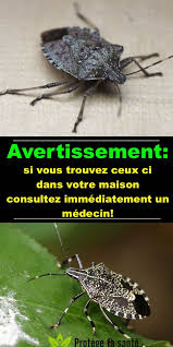 Pin On Astuces Sante
