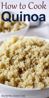 How To Cook Quinoa Recipe How To Cook Quinoa Cooking Food Challenge