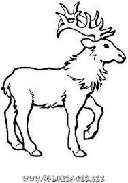 renne coloriage nice dessiner un ausmalen ausmalbilder malvorlagen tiere horreur adulte