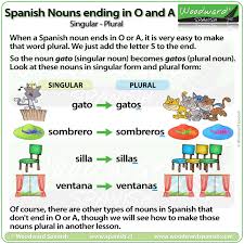 I had to take only one bus; Spanish Nouns Ending In O And A Singular Or Plural Woodward Spanish