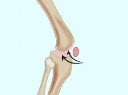 Check spelling or type a new query. Your Muscles For Kids Nemours Kidshealth