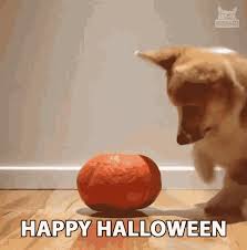 Happy Halloween Dog Gifs Tenor