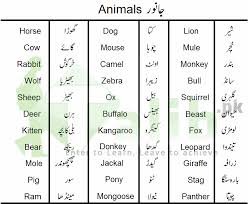 It is known as the 'ship of the desert' because it can travel across deserts as easily as ships sail on water. Animals Birds And Insects Names In Urdu English Tables Insects Names Learn English Words English Vocabulary Words