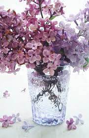 Did I Mention The Lilacs Lilac Blossom Spring Flowers Pretty Flowers