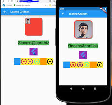Purpose · architecture · set up emulator on a cloud vm · create a linux vm in gce · install required software on the vm · start the hosted containers · set up the . Image Difference In Web Chrome And Emulator Android Issue 53162 Flutter Flutter Github