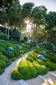 pin on landscape planting