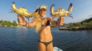 We did not find results for: Best Stone Crab Claws Catch Clean Cook Video Youtube