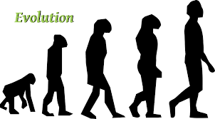 A Change In A Population S Gene Pool From One Generation To Another Generation By Such Processes As Natural Selecti Evolution Charles Darwin Science And Nature