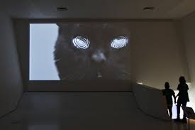 The weather is getting warmer each day and these outdoor cats are ready to head outside for some adventures, play time and discovering what's new! How Cats Took Over The Internet At The Museum Of The Moving Image The New York Times