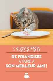 3 Recettes De Friandises Pour Chats Alimentation Maison Friandises Pour Chat Friandise Pour Chat Nourriture Chat