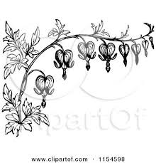 Pin On Bleeding Hearts