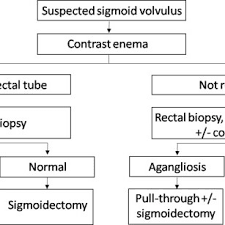 Algorithm For Management Of Sigmoid Volvulus Download Scientific Diagram