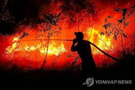 인도네시아