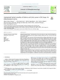 Image result for Porphyrostemma chevalieri