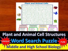 Structures unique to animal cells. Plant And Animal Cells A Fun Unique Word Search Puzzle Grades 7 12