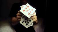 Check spelling or type a new query. Playing Cards Gifs Get The Best Gif On Gifer