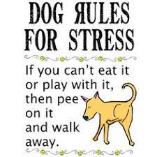 Funny Quotes For Stressful Days Quotesgram