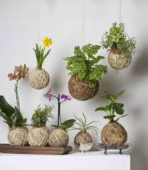 Rafaela Solorzano (rafaelasolorzano43213)