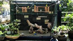 Sangkar kandang burung ternak koloni aviary lovebird pleci murai besar: Aviary Minimalis Kandang Aviary Minimalis Youtube