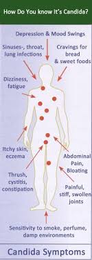 Symptoms Of Candida Infection Order Your Plexus To Rid Your Body Of Candida Http Plexusslim Com E Candida Symptoms Candida Infection Yeast Infection Symptoms