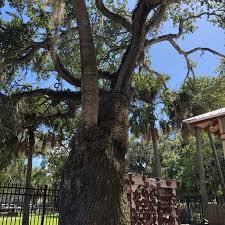Trapped in misdirected love of earthly goods, the soul separates itself from god and tries to demonstrate its power over god by breaking god's laws. Love Tree Historic Site