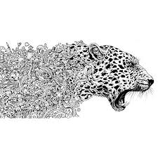 Free printable 4th of july coloring pages. Animorphia Adult Coloring Book Kerby Rosanes Paperback Walmart Canada