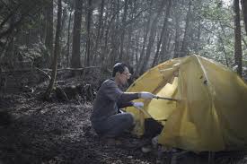 Japan Suicide Forest Ten Hoopen Agence Vu