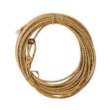 Image result for Rogiera cordata