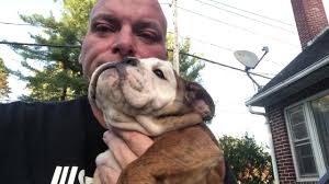 Secret Bulldogs (@Secretbulldogs)