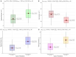 Image result for Pachylobus osika