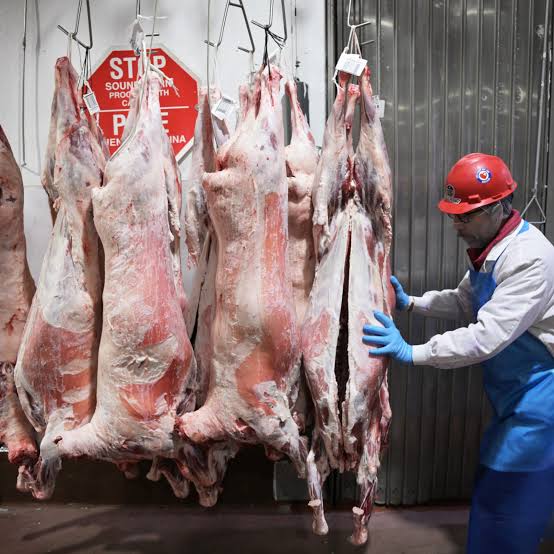 Ordinance 309 is a chance to shut down a slaughterhouse