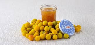 Recette Confiture De Mirabelles Le Parfait Recette Confiture Mirabelle Recette Confiture Confiture