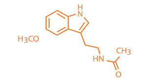 Eine sichere dosis hängt von deinem körpergewicht, deinem alter und deiner empfindlichkeit gegenüber melatonin ab. Melatonin Wirkung Anwendung Dosierung Praktischarzt
