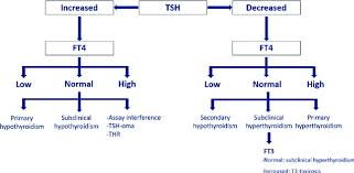 Image result for Thyroid Function Test
