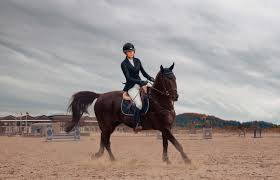 Techniques d'entraînement chevaux

