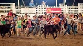 Kaw Valley Rodeo