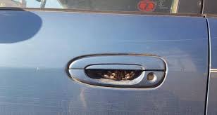 Check spelling or type a new query. Apres Une Semaine Sans Utiliser Sa Voiture Cette Australienne Retrouve Une Araignee Gigantesque Dans La Portiere