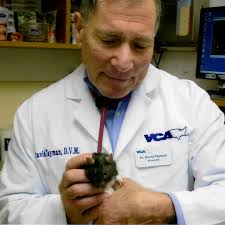 It is with heavy hearts that we share with you the passing of our beloved  Dr. David Tayman. Dr. Tayman passed away