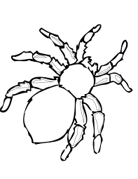 Make your world more colorful with printable coloring pages from crayola. Free Printable Spider Coloring Pages For Kids